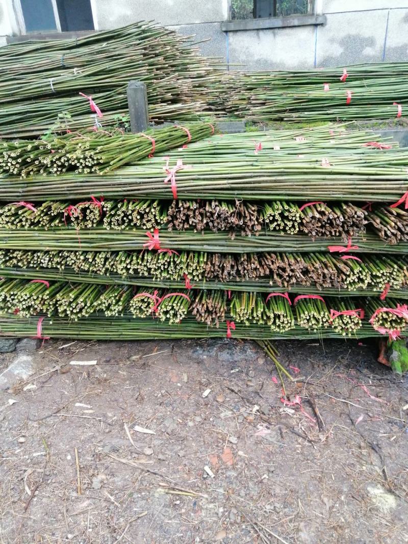 长期出售菜架竹，豆角架，西红柿，竹扦各种规格，各种品种价