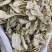 佛手无硫磺熏蒸一公斤起批