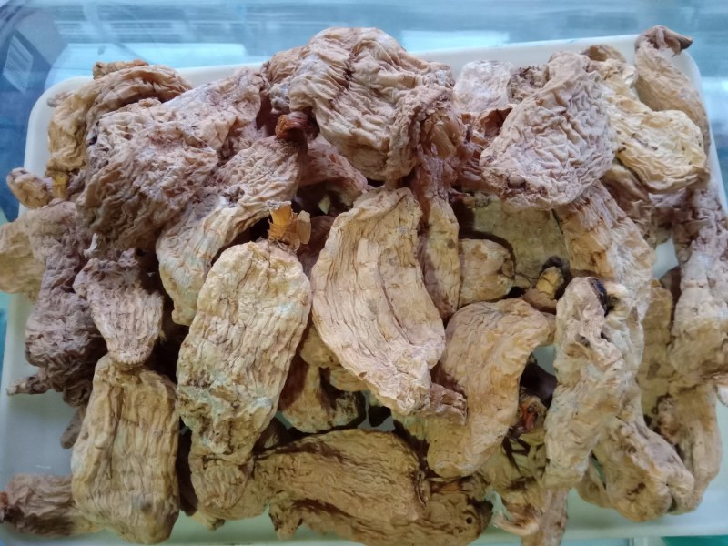 野生天麻
