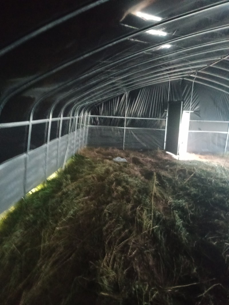 养殖大棚*种植大棚*果树棚*避雨棚*菌菇种植棚