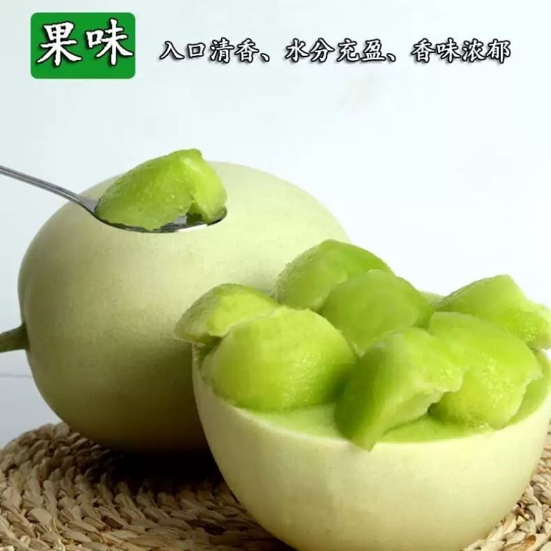 现摘玉菇甜瓜10斤香瓜新鲜包邮绿肉糯甜冰淇淋白兰瓜蜜瓜