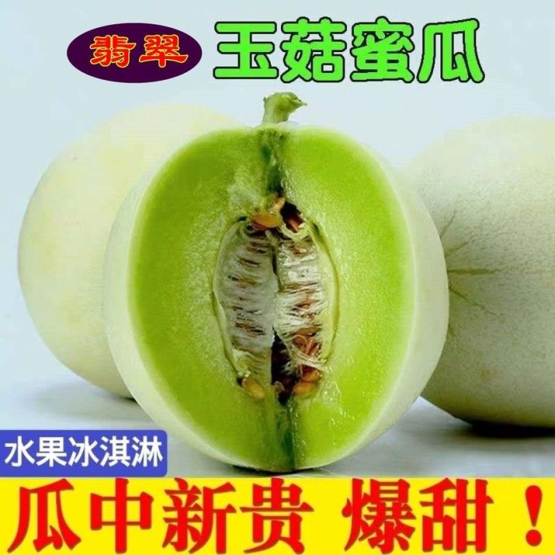 现摘玉菇甜瓜10斤香瓜新鲜包邮绿肉糯甜冰淇淋白兰瓜蜜瓜
