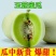 现摘玉菇甜瓜10斤香瓜新鲜包邮绿肉糯甜冰淇淋白兰瓜蜜瓜