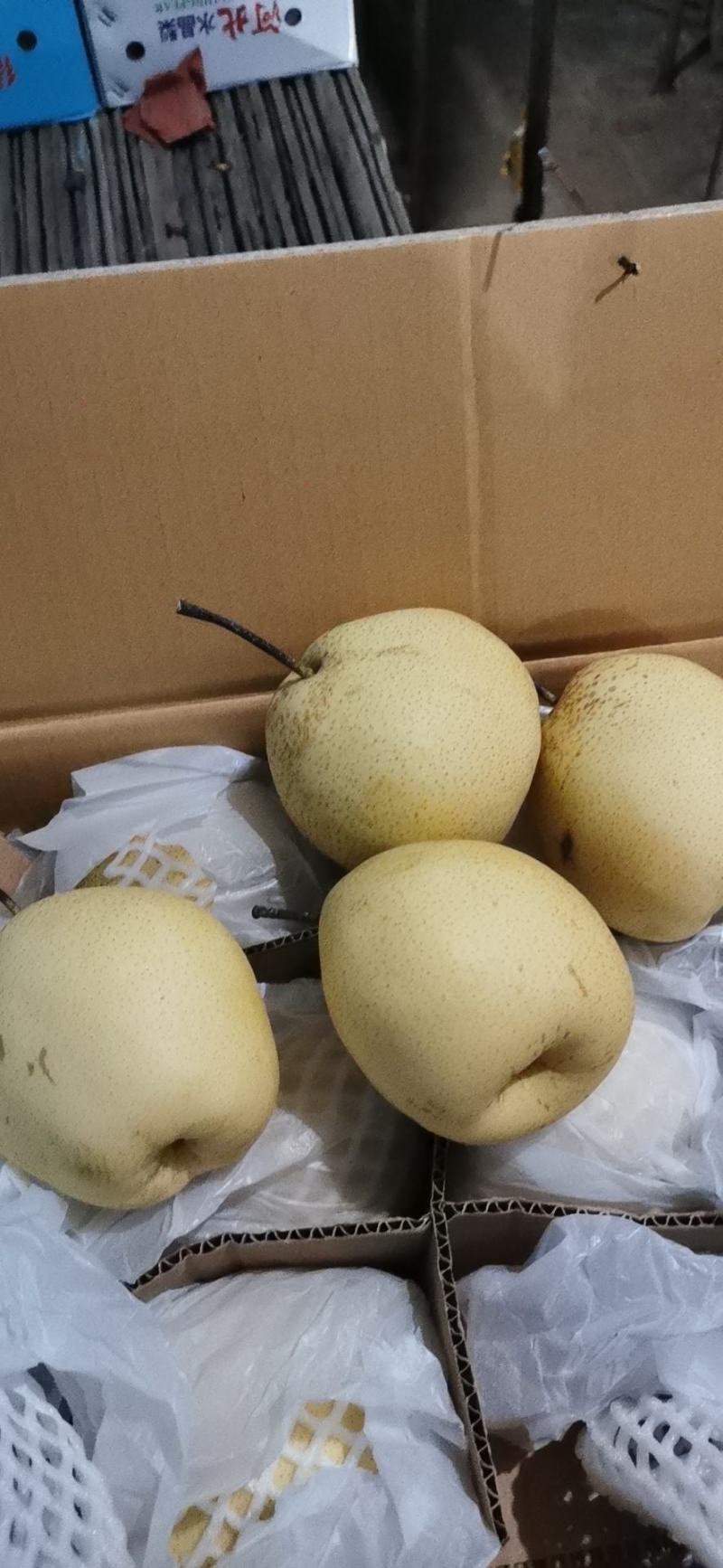 库存鸭梨滞销，助农销售，特价销售，帮助果农
