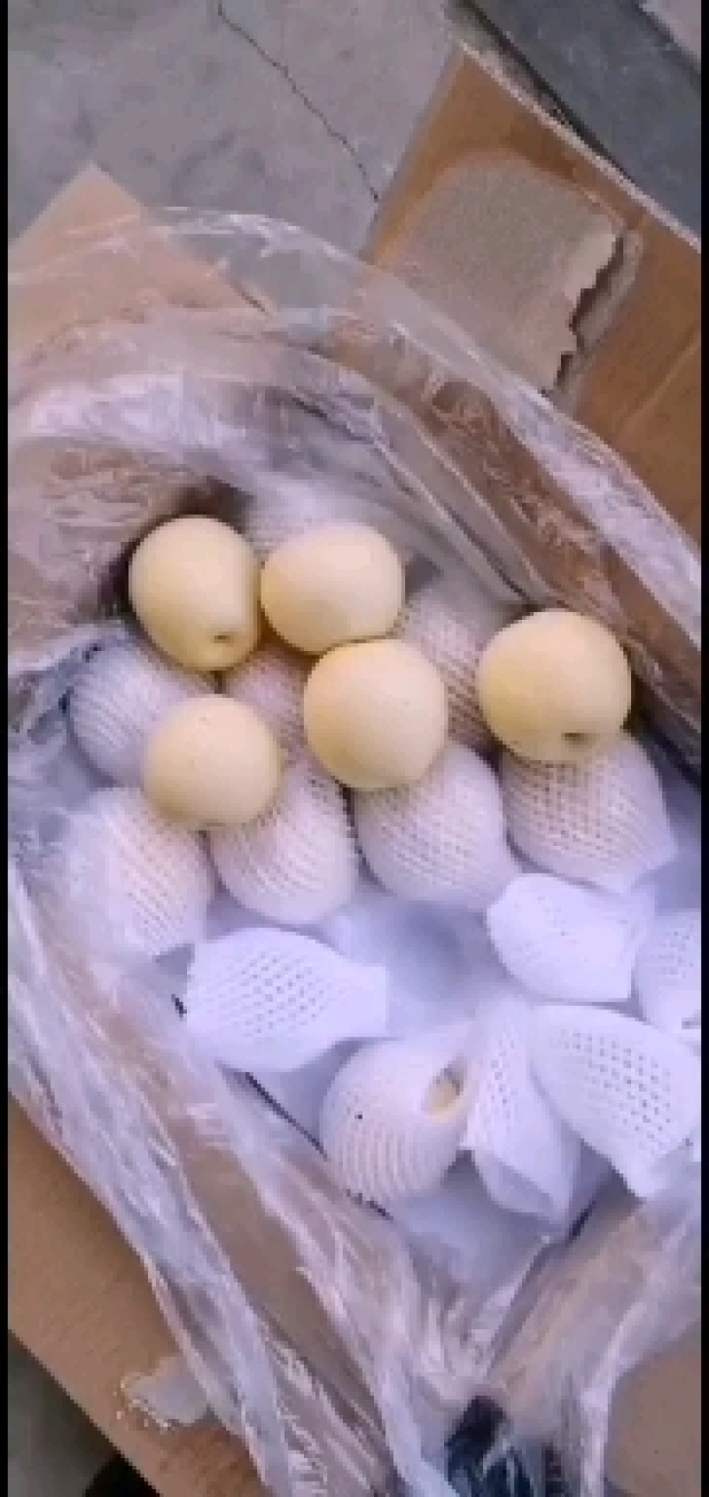 皇冠梨一级果果形饱满表皮光滑无黑心口感脆甜