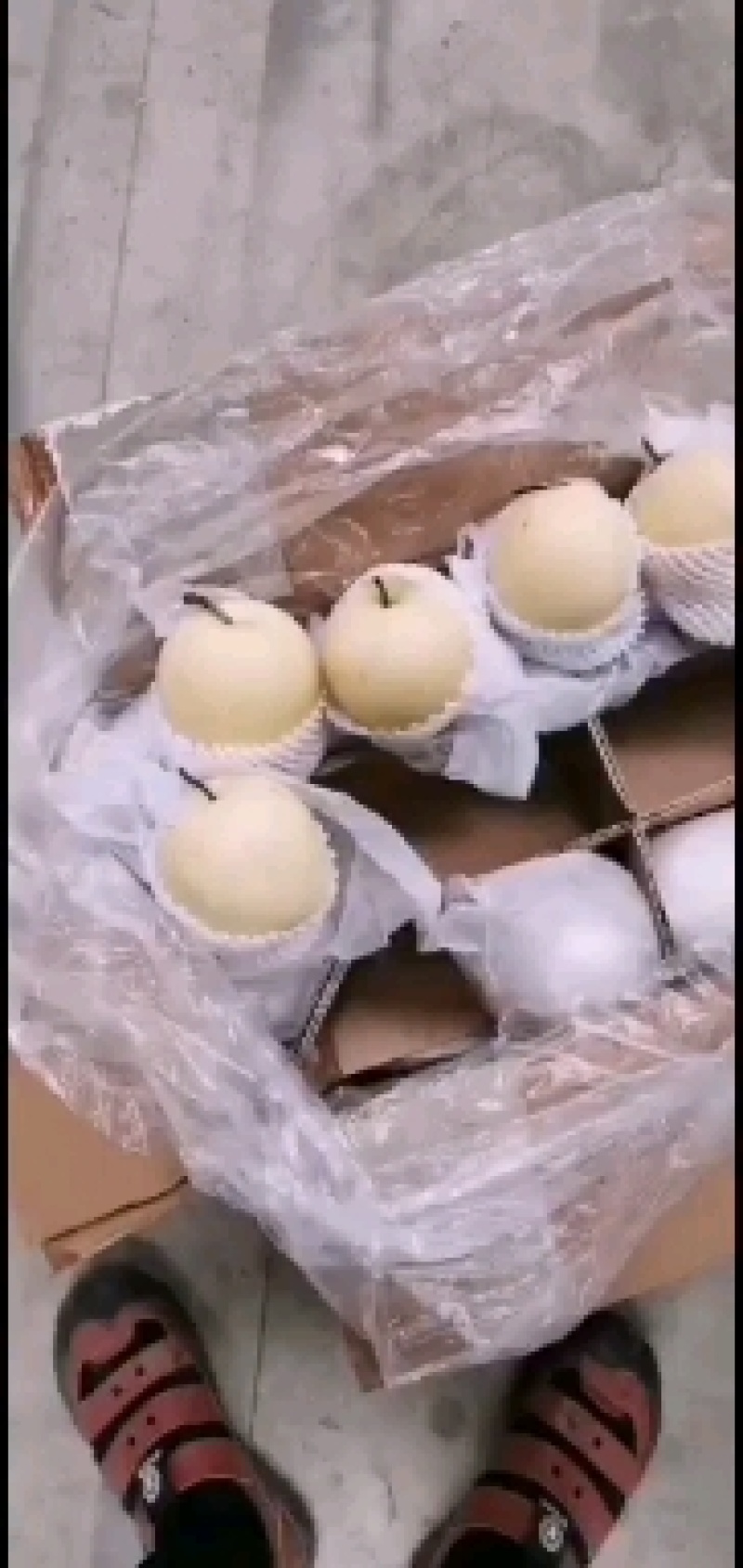 皇冠梨一级果果形饱满表皮光滑无黑心口感脆甜