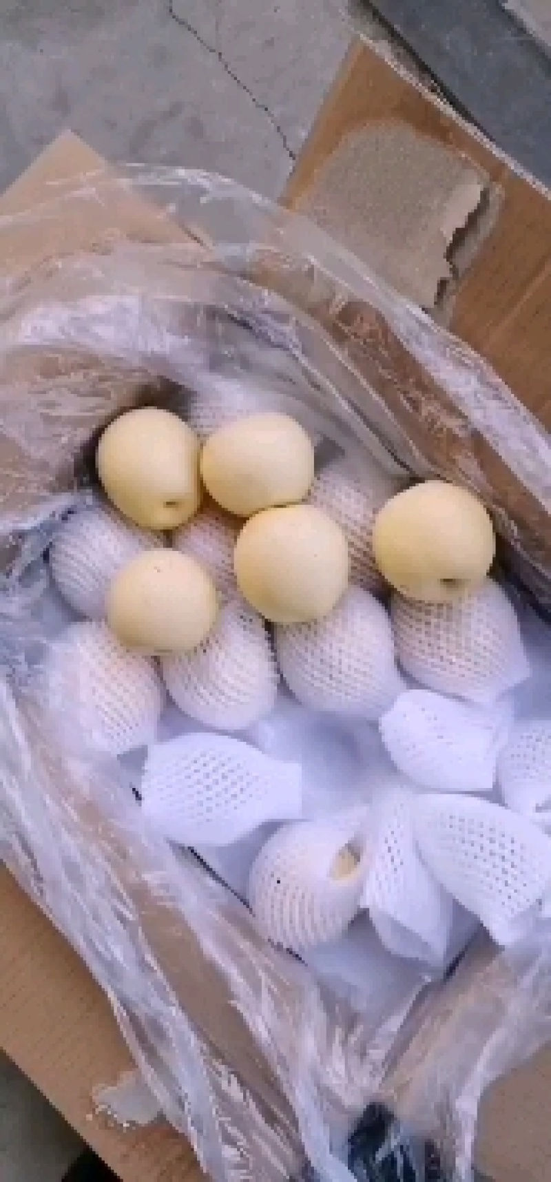 皇冠梨工厂品质量大货源充足常年供应基地直发