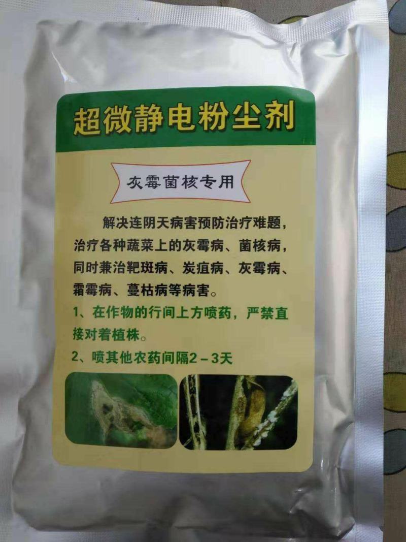 蔬菜大棚专用粉尘剂静电喷粉机手持式电动喷粉器厂家