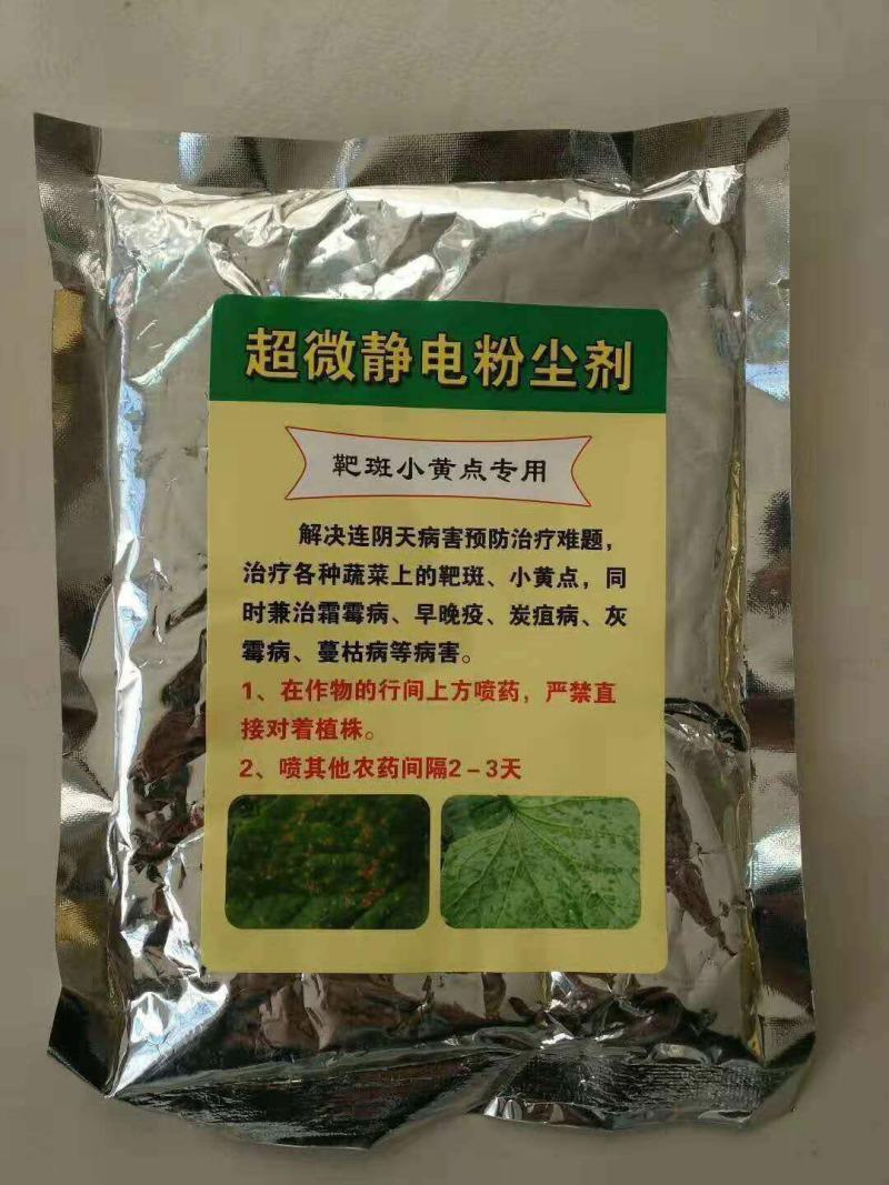 蔬菜大棚专用粉尘剂静电喷粉机手持式电动喷粉器厂家