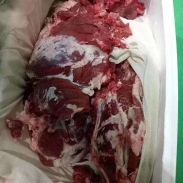 批发国产清真四分体冷鲜牛肉