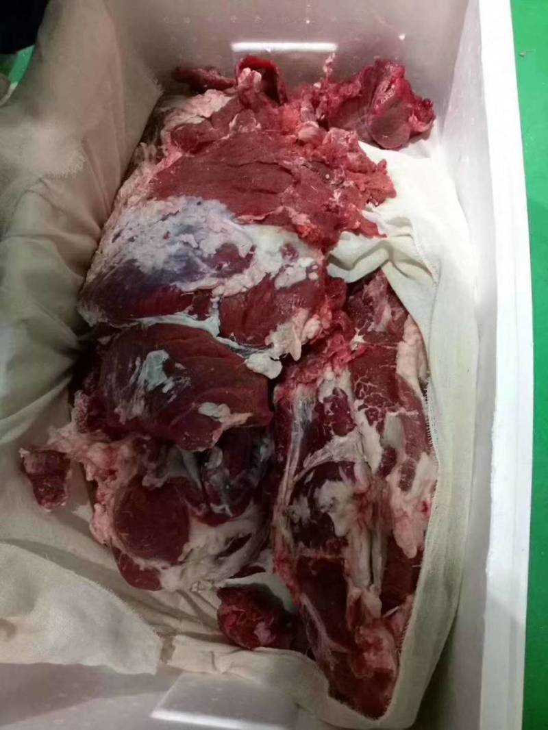 批发国产清真四分体冷鲜牛肉
