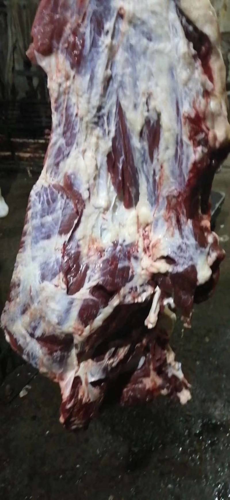 批发国产清真四分体冷鲜牛肉