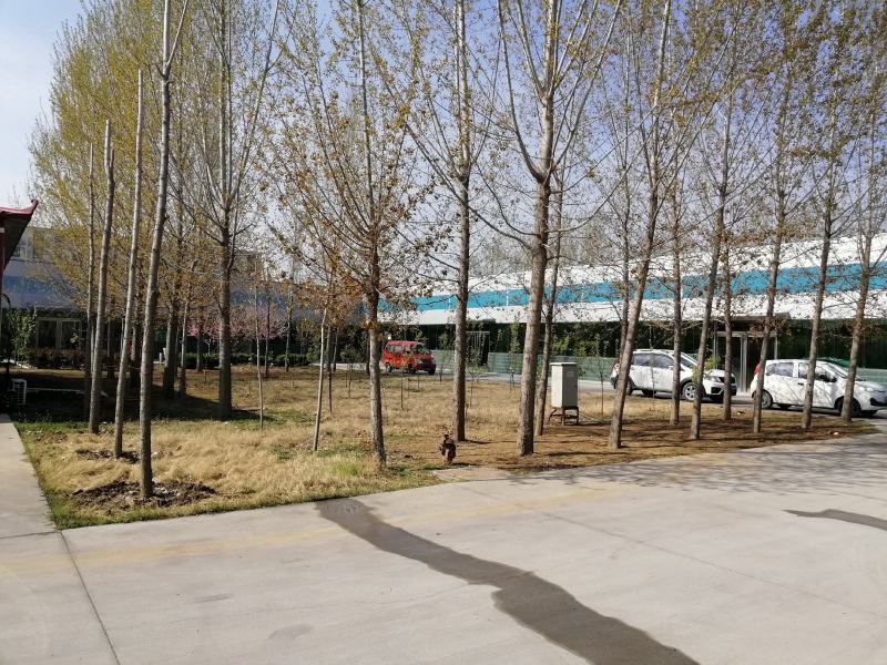葡萄籽油500ml厂家直供支持贴牌代加工