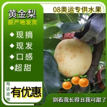 河南省方城县博望镇前荒村黄金梨种植基地，欢迎大家来采购