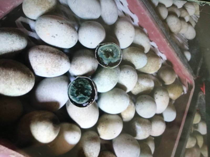 黑皮蛋，松花蛋各种优质蛋品有售工厂直供，万斤起批