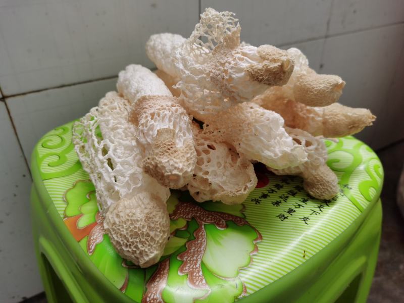 贵州织金竹荪(竹笙）干货，无硫熏！红拖短裙！仿野生种植！