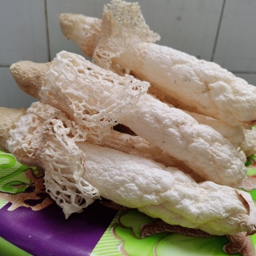贵州织金竹荪(竹笙）干货，无硫熏！红拖短裙！仿野生种植！