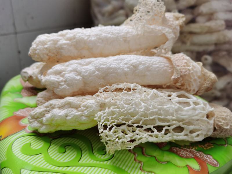 贵州织金竹荪(竹笙）干货，无硫熏！红拖短裙！仿野生种植！