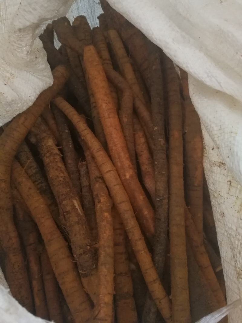 玫瑰茄别名洛神花红桃K可泡酒煲汤