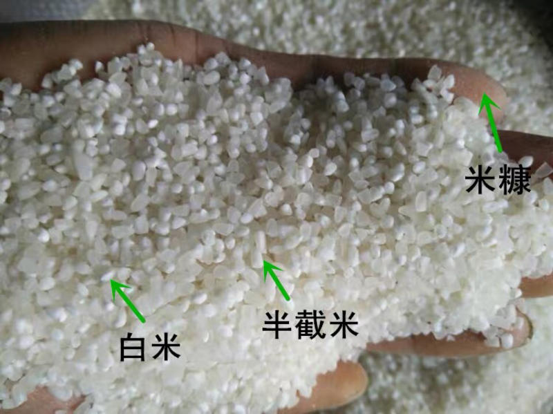 碎米五常稻花香2号精选抛光碎米，酒米、黑头米、白米