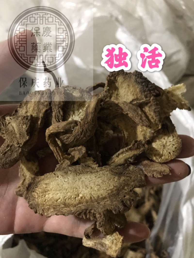 独活保庆药业批发独活实物拍摄独活实物拍摄