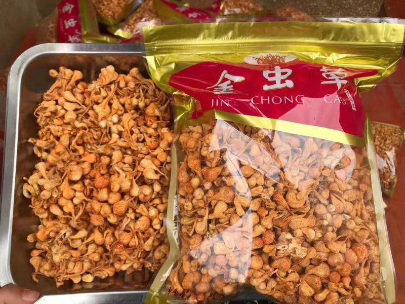 虫草花干货特级野生新鲜袍子头冬夏正品金蛹草菇无硫无染