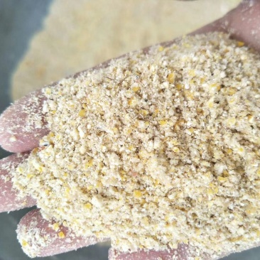 碎玉米次粉，下脚料，适合鸡鸭鹅养殖111