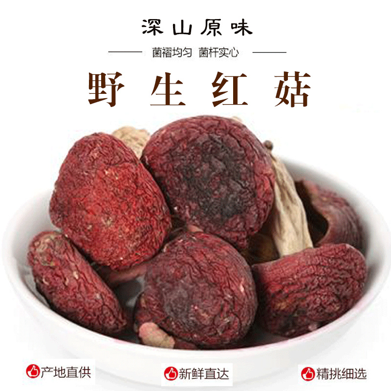 野生红菇正宗红蘑菇新货干货红椎食用菌土特产月子菇
