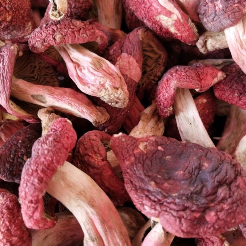 野生红菇正宗红蘑菇新货干货红椎食用菌土特产月子菇