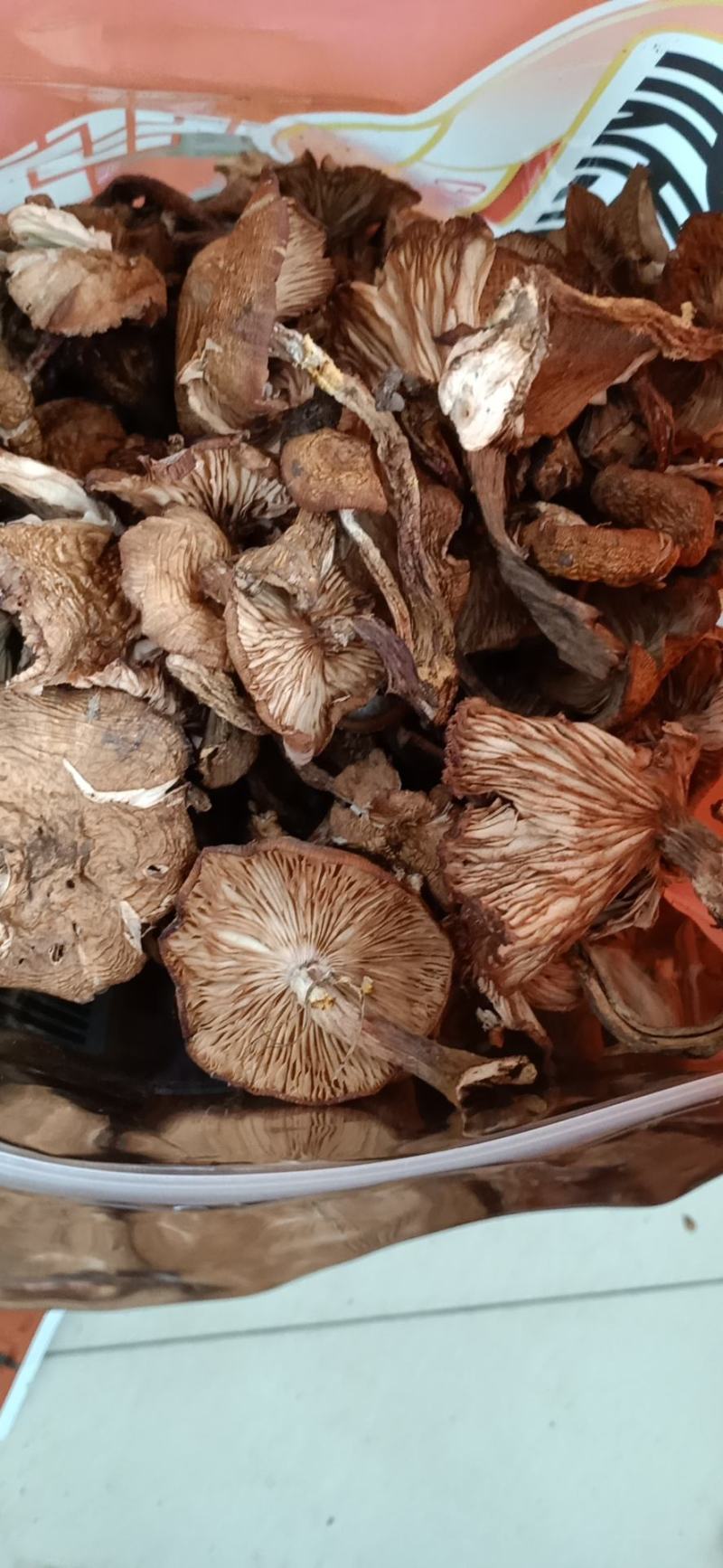 榛蘑去根，有烘干的，有晒干的，有丁，有片蘑菇，产地直销。
