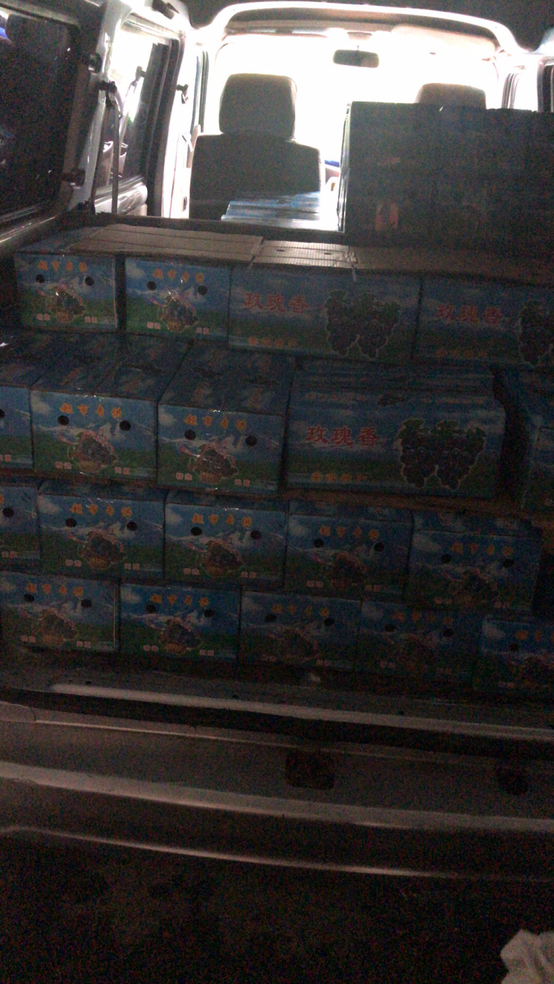 职业代办茶淀玫瑰香葡萄当地有实体店万亩园林出货稳定！