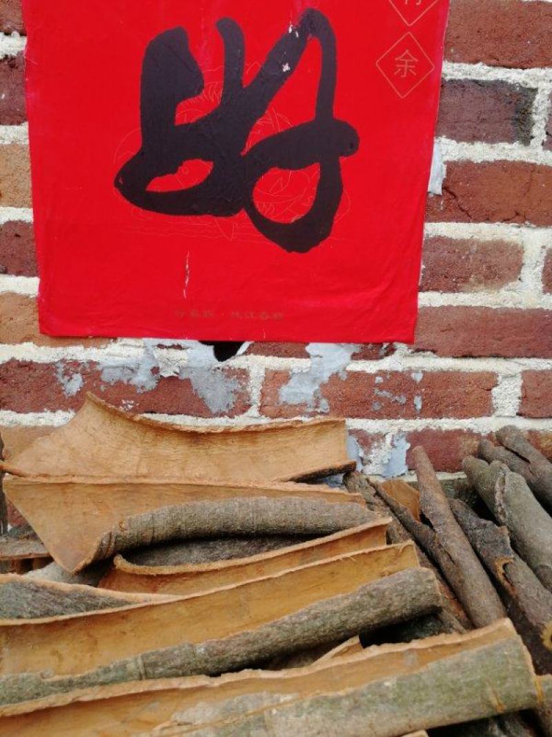 优质大量肉桂皮，特厚肉桂皮