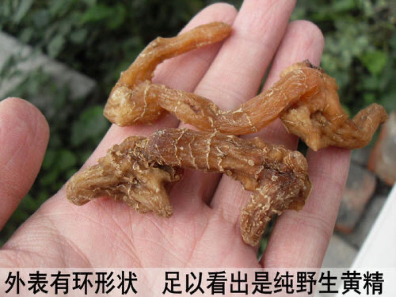 野生黄精4-7年黄精干货纯正无硫泡酒滋补中药材