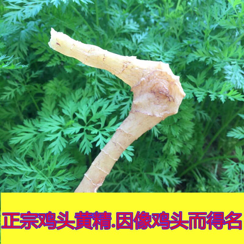 野生黄精4-7年黄精干货纯正无硫泡酒滋补中药材