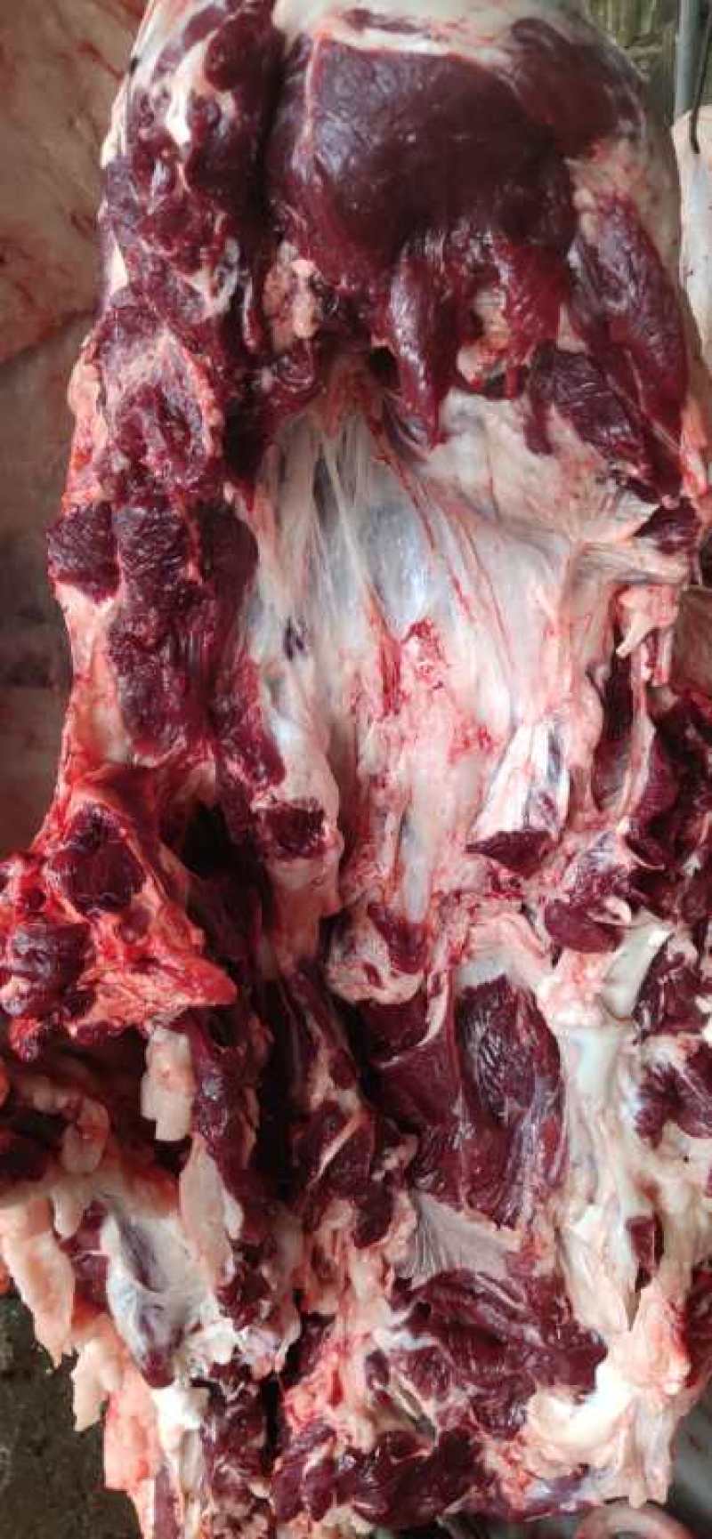 批发国产清真四分体冷鲜牛肉