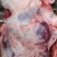 批发国产清真四分体冷鲜牛肉