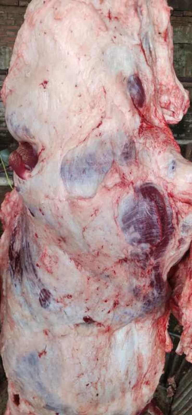 批发国产清真四分体冷鲜牛肉