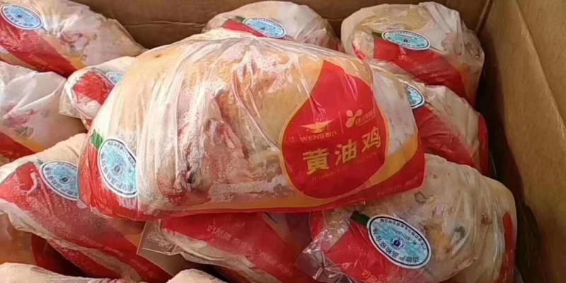 广东温氏佳味黄油鸡北京现货欢迎下单，