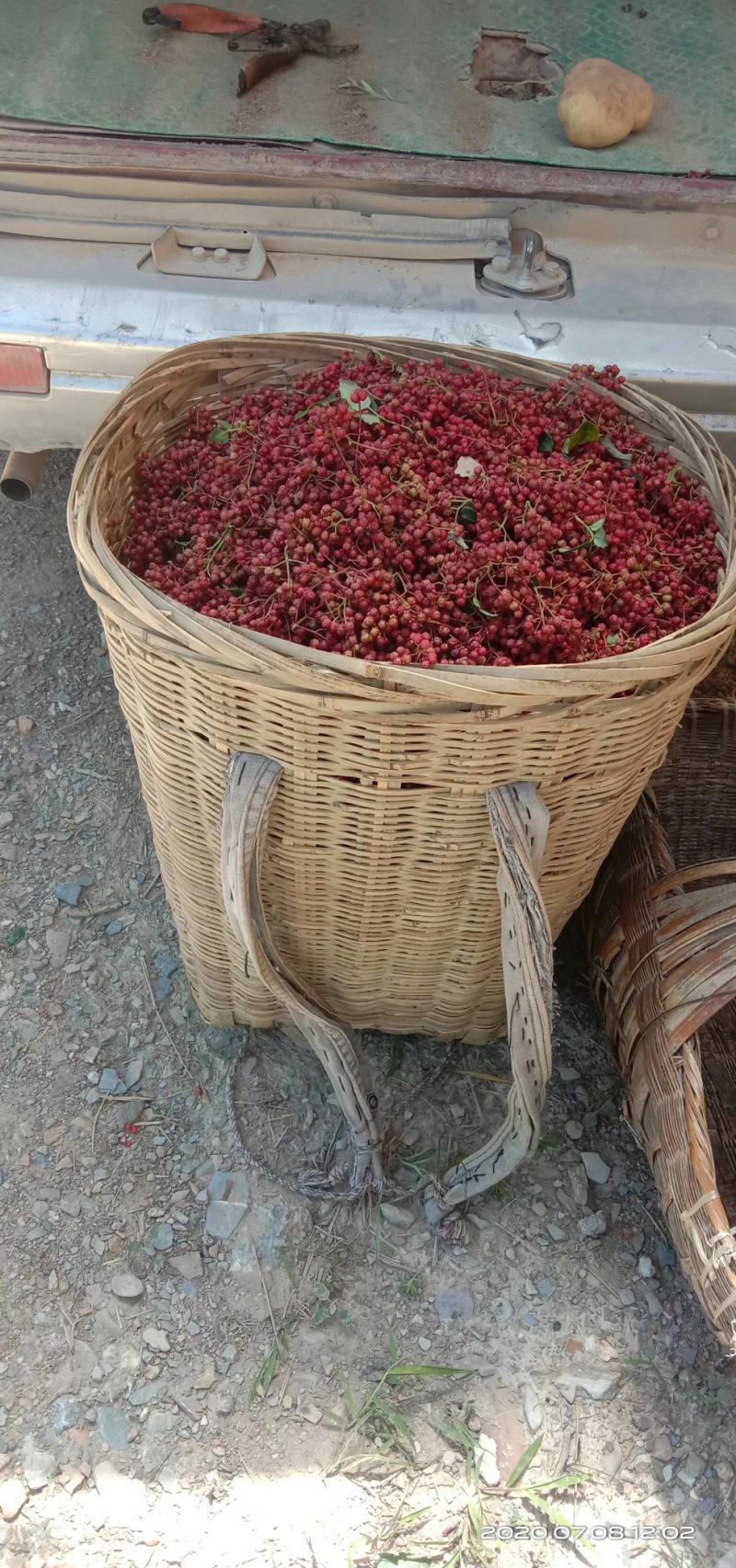 【实力】陇南精品大红袍花椒颜色红麻味足欢迎联系