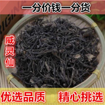 威灵仙威灵仙500g包邮别名:粉灵仙铁线莲