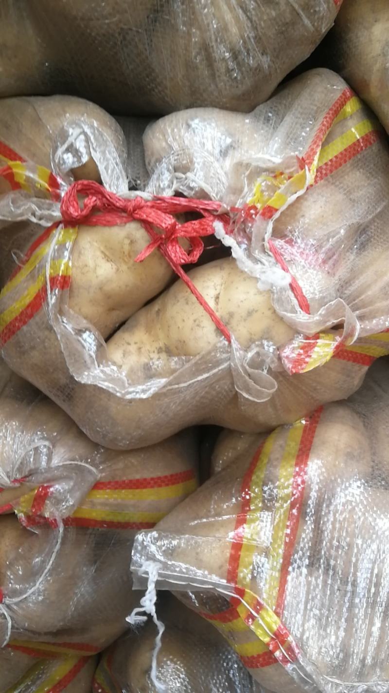 【精品】山西土豆/忻州沃土土豆/大量现货/代发全国市场
