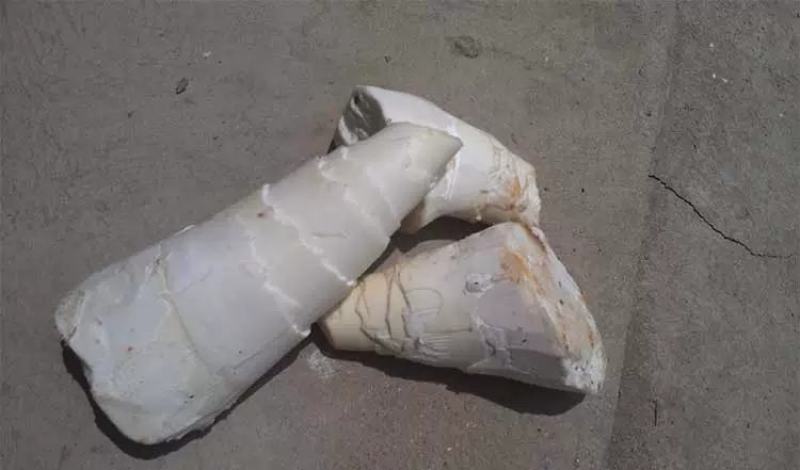 深山花笋野生竹笋干货农家笋牙干