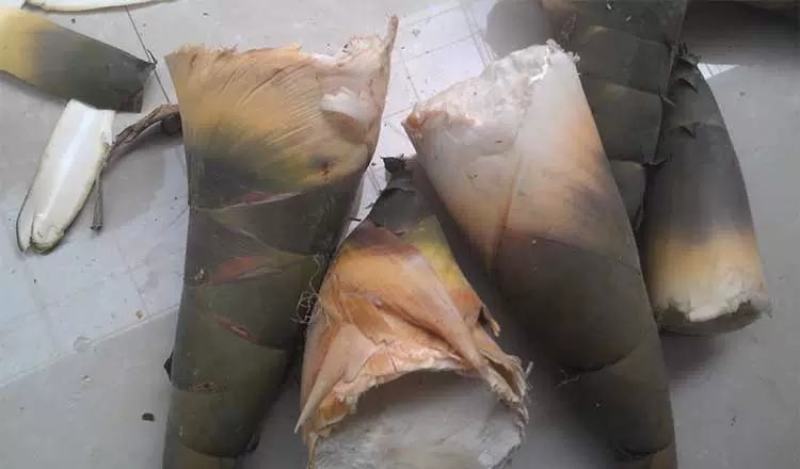 深山花笋野生竹笋干货农家笋牙干