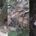 深山花笋野生竹笋干货农家笋牙干