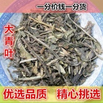 大青叶500g板蓝根叶子大青叶茶新鲜干货