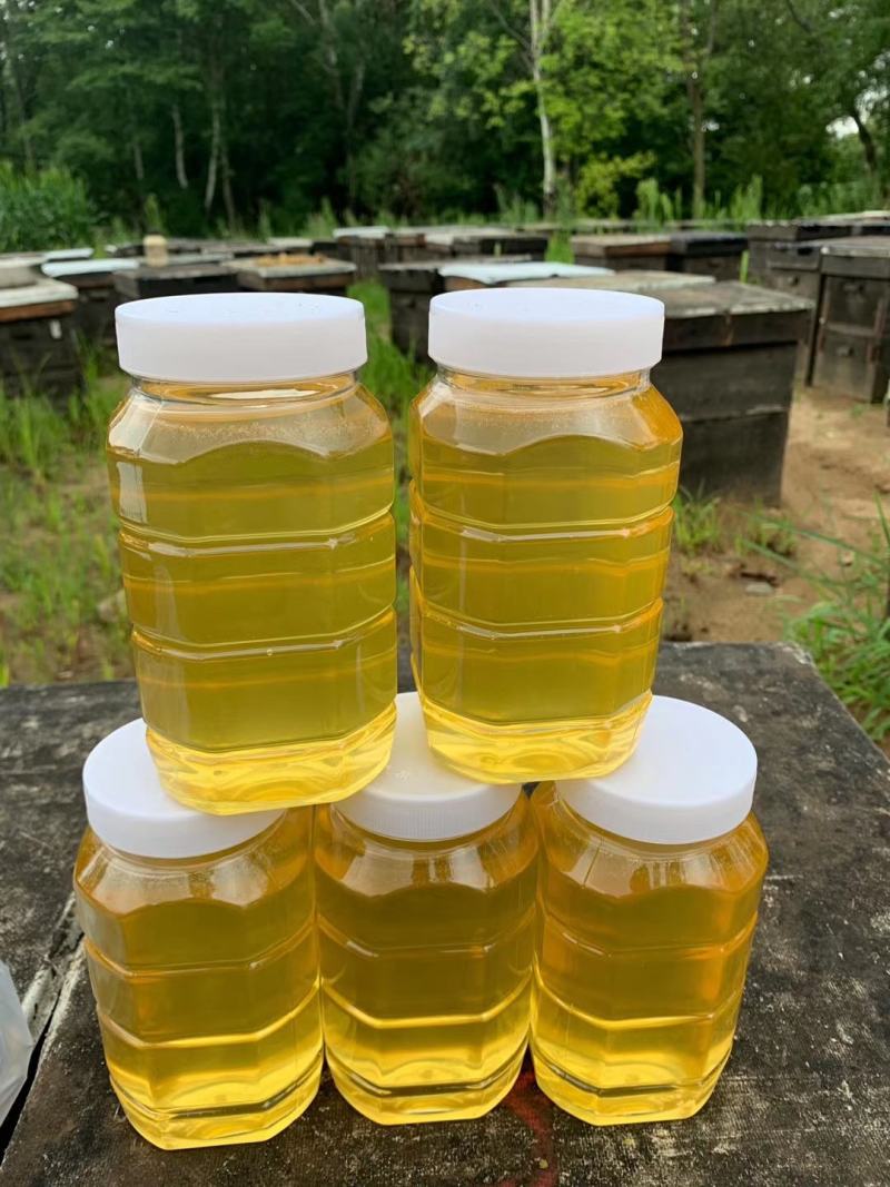 品牌东北椴树蜂蜜多种包装