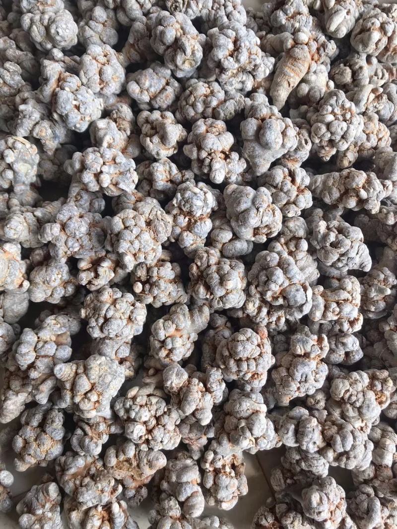 云南三七自种自销精选优质水洗足干戴帽三七特级田七