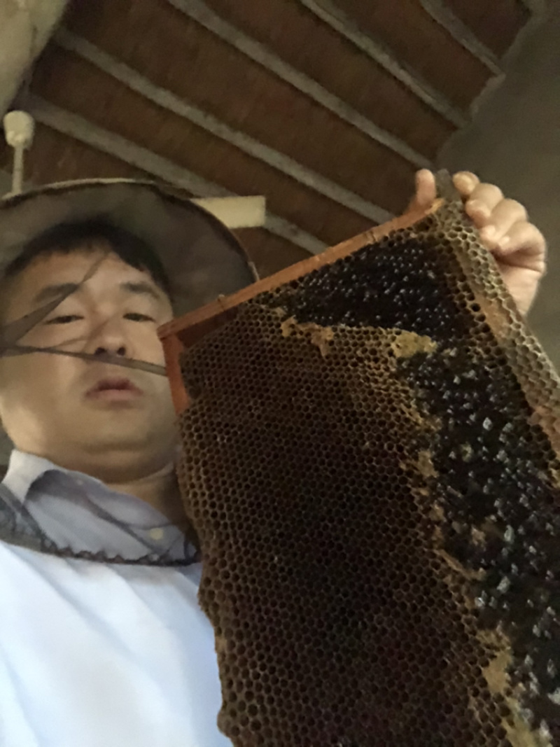 包邮自产原生态高浓度***一件代发两斤包邮贴牌