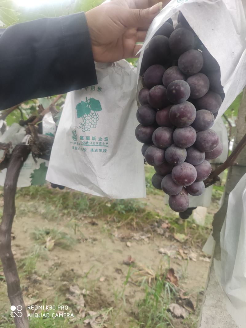 正宗沪太商品不多要的快快下手