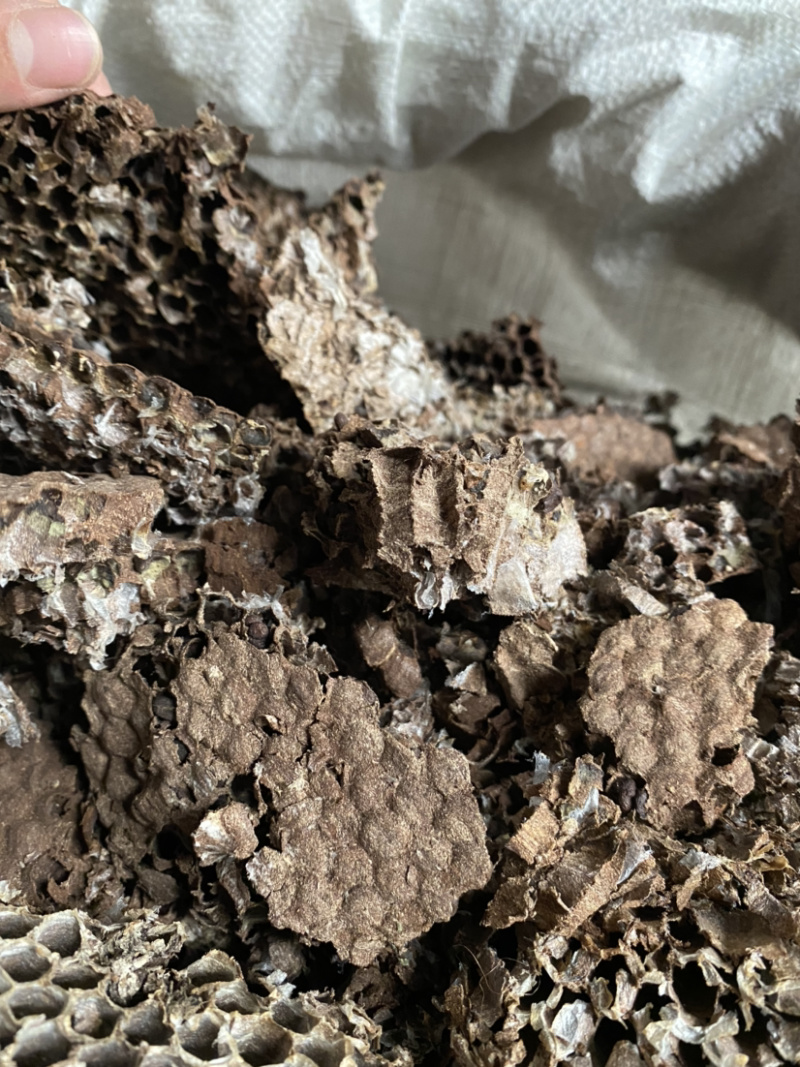 中药材蜂房天然马蜂窝块无虫卵优质好货批发